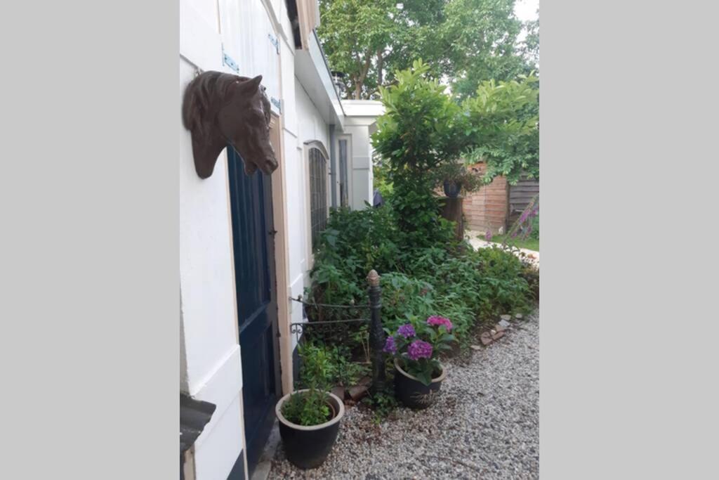 Oranjerie, 7 Km Onder Groningen Apartamento Paterswolde Exterior foto
