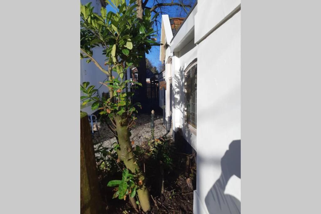 Oranjerie, 7 Km Onder Groningen Apartamento Paterswolde Exterior foto